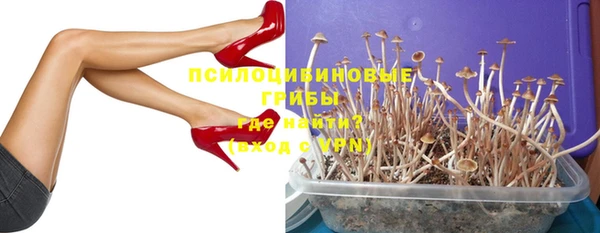 стаф Верхний Тагил
