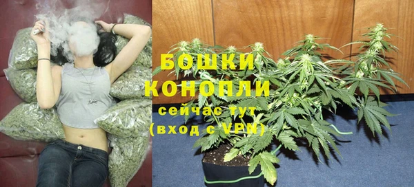 СК Волоколамск
