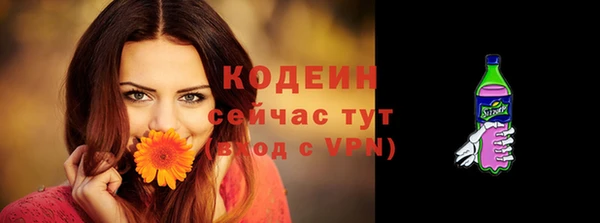 ГАЛЛЮЦИНОГЕННЫЕ ГРИБЫ Вязьма