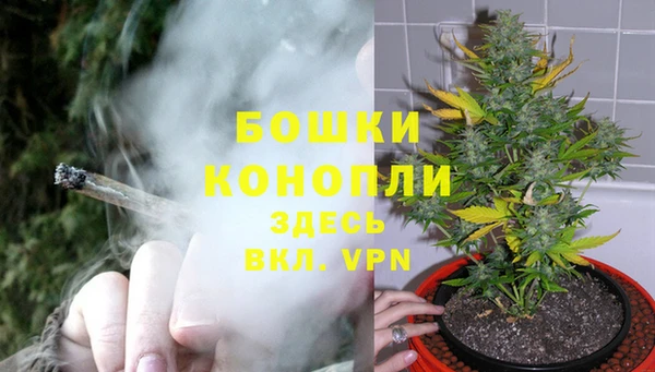 стаф Верхний Тагил