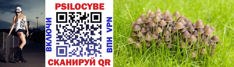 MEGA ONION  Дудинка  Псилоцибиновые грибы Magic Shrooms 